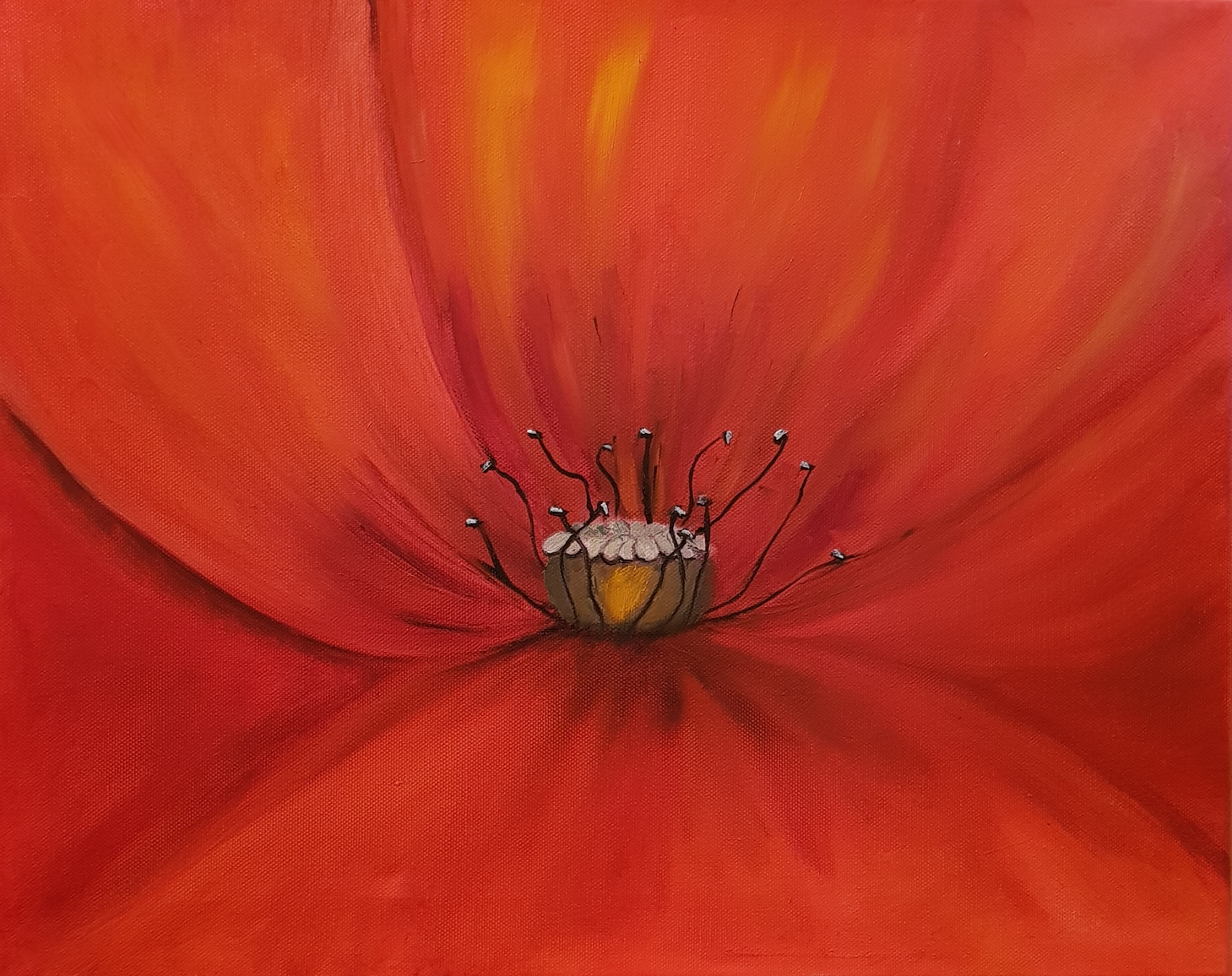 Mohnblüte