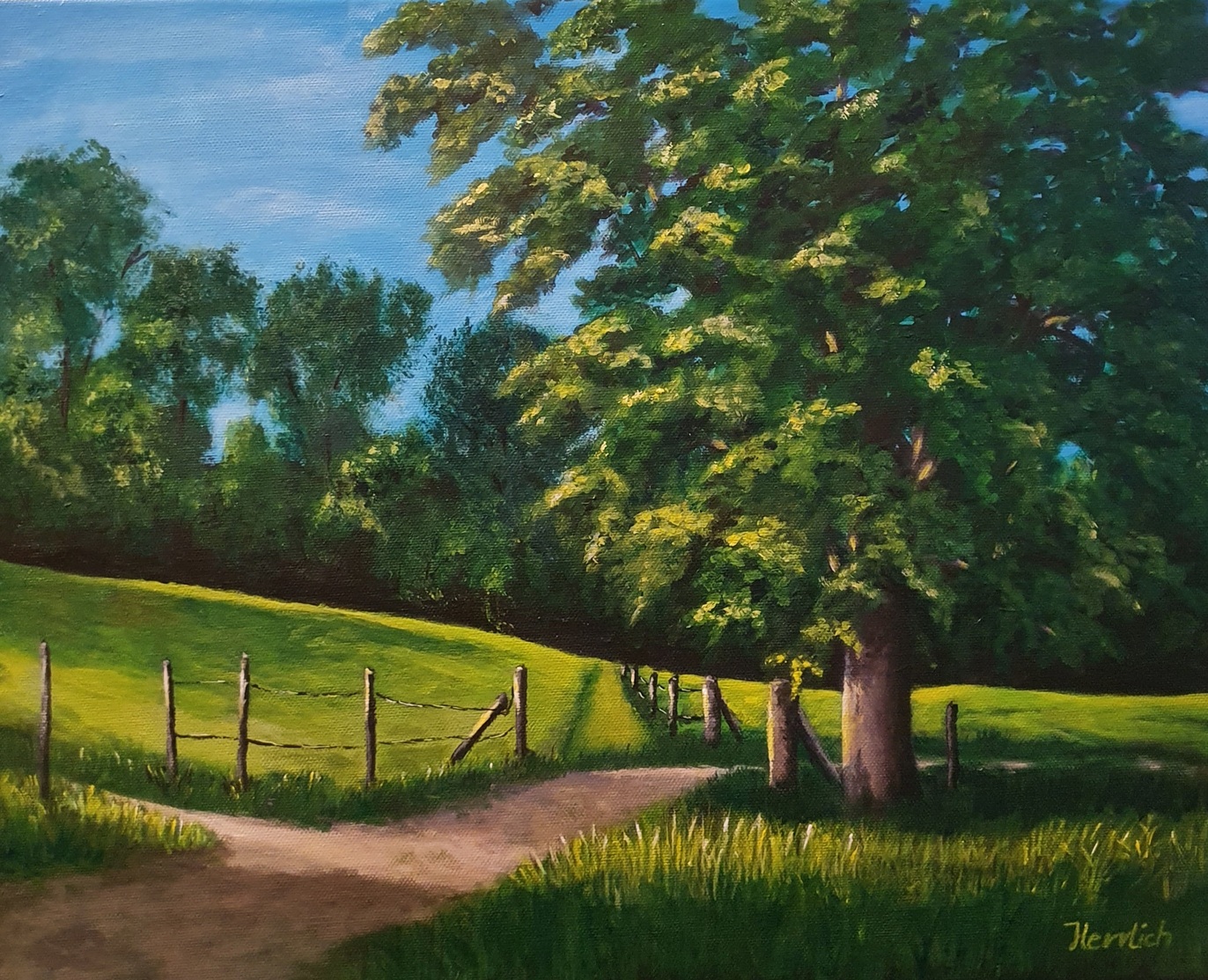 Wechselspiel aus Licht und Schatten 