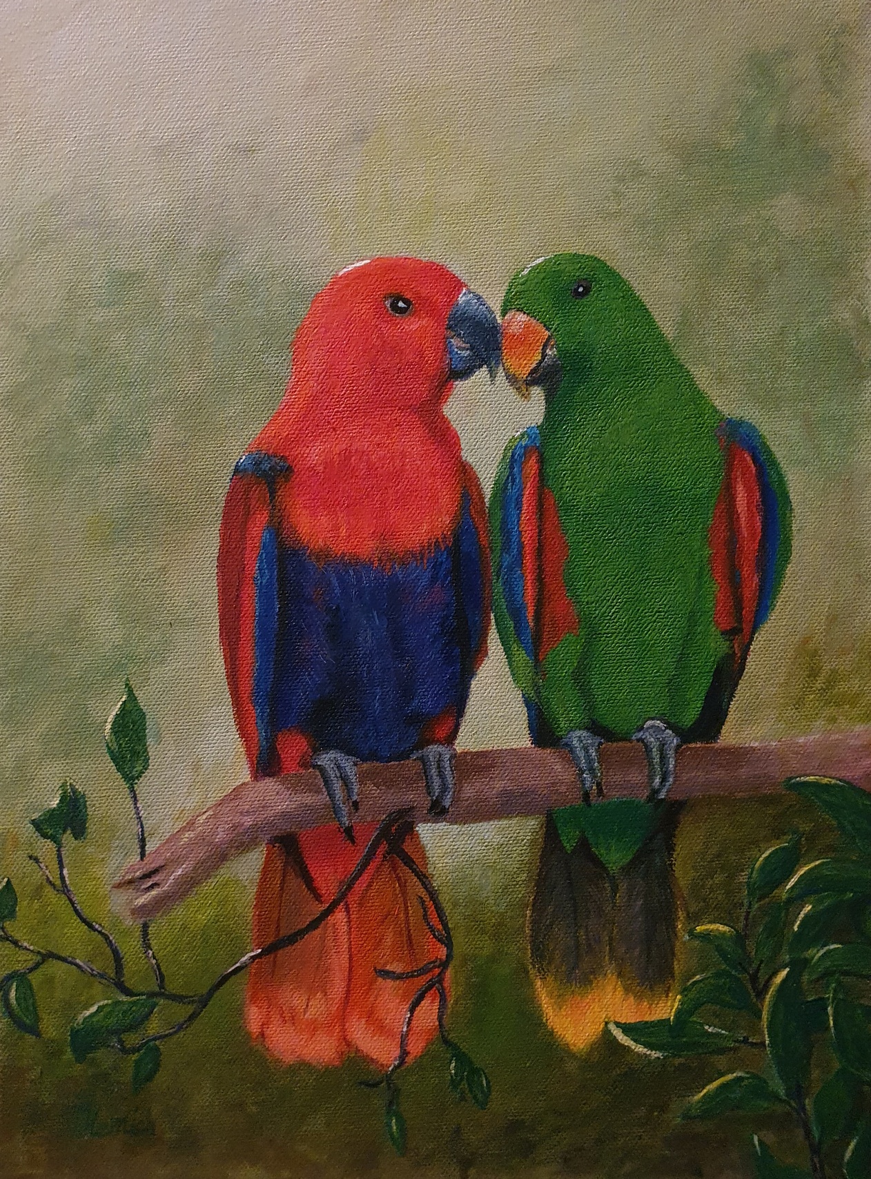 Molli & Coco 